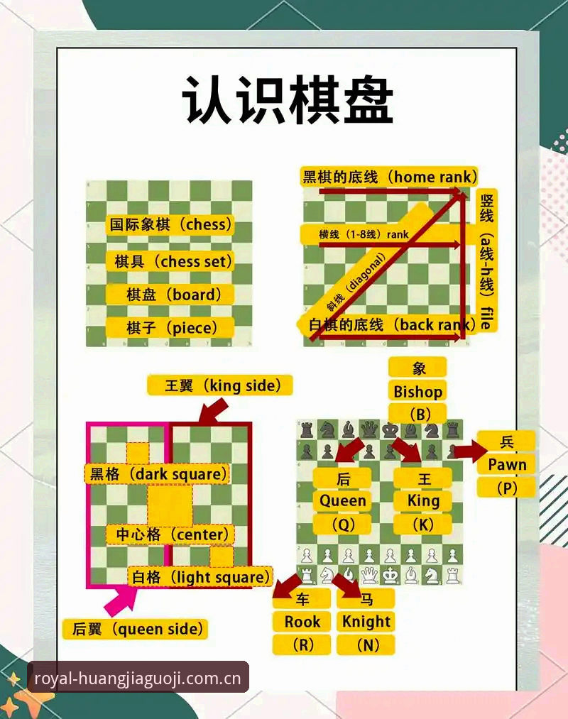 皇家国际游戏种类选择与操作教程：从入门到精通的完整指南